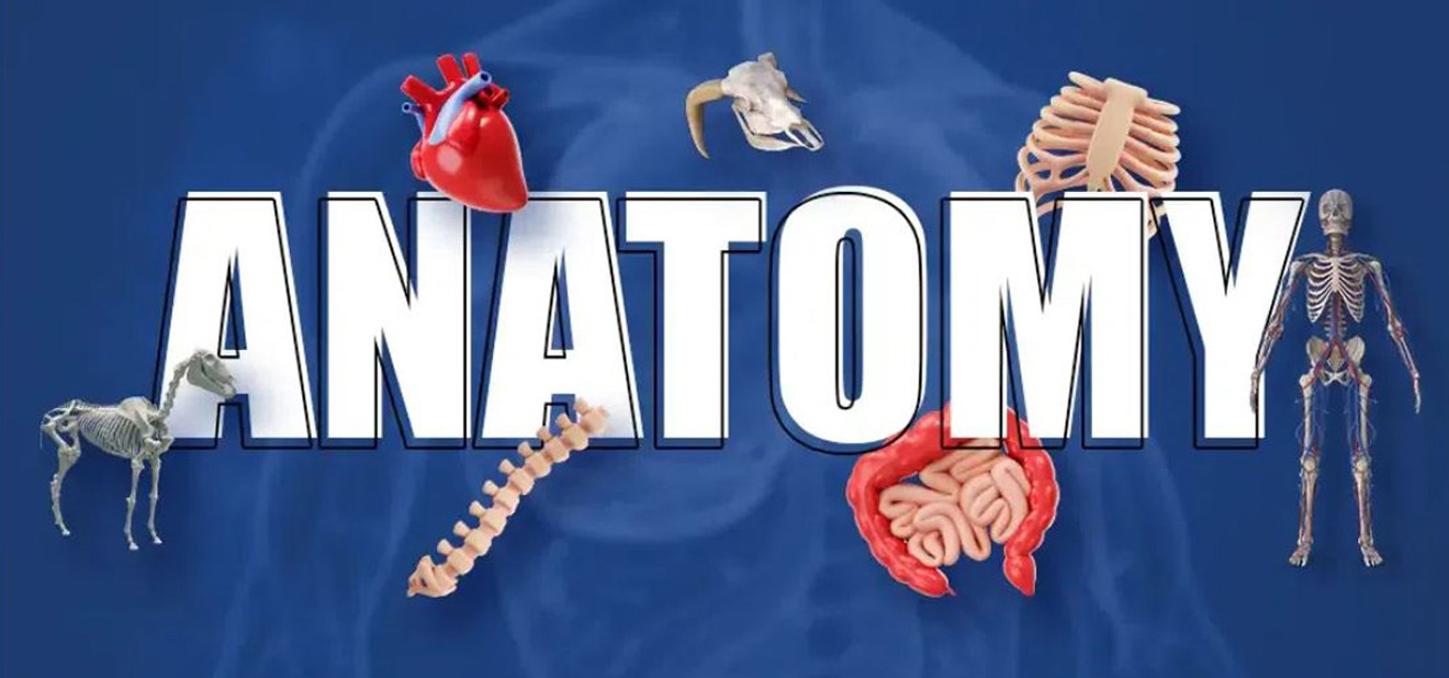 Biology (Grades 9 to 12)